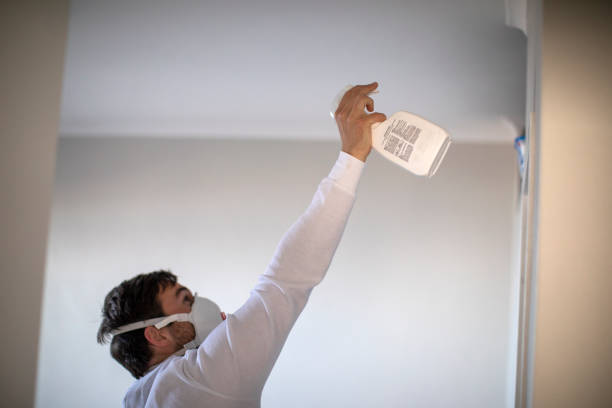 Best Residential Mold Removal  in Stanley, NC