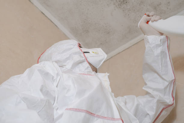 Best Mold Testing  in Stanley, NC